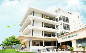 โรงพยาบาลปลวกแดง